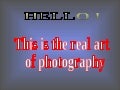 Super Animal Nature Photos