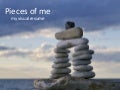 Pieces Of Me: My Visual Resume
