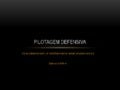 Pilotagem defensiva