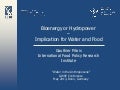 Bioenergy or Hydropower: Implication for Water and Food