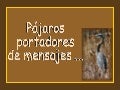 Pájaros portadores de mensajes