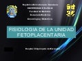 Placenta