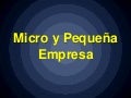 Plan de negocios (micro y pequeña empresa)