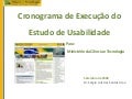 Cronograma de Execução do 