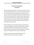 Planning In Goal Realization