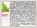 Plano de aula