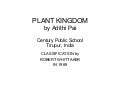 Plant Kingdom classification