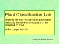 Plant classification LAB:  students categorize plants based on physical description cards; lab WS included