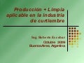 Producción + Limpia aplicable en la industria de curtiembre