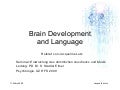 Gehirnentwicklung und Sprache