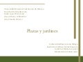 Plazas Y Jardines