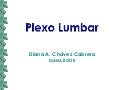 Plexo Lumbar Diana