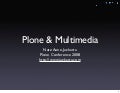 Plone and Multimedia