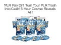 PLR PayDirt