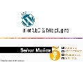Plugins seo: WordCamp Spain 2010
