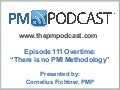Episode 111 Premium: There is no PMI Project Management Methodology