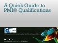 PMI quick guide 