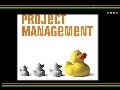 Project management