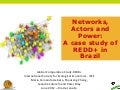 Networks, actors and power: A case study of REDD+ in Brazil 