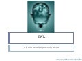 PNL - A Estrutura Subjetiva Da Mente
