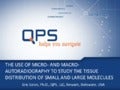 THE USE OF MICRO- AND MACRO-AUTORADIOGRAPHY TO STUDY THE TISSUE DISTRIBUTION OF SMALL AND LARGE MOLECULES