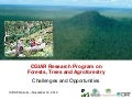 The New CGIAR Research Program on Forests, Trees, and Agroforestry: Opportunities and Challenges”  Friday, November 12th, 2010. 11.00 – 12.00pm,  ICRAF Conference Hall