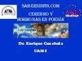 Poesía cerebro y hormonas