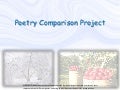 Poetry comparison project