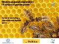  Operaio del Web - Servizi di marketing e comunicazione digitale per la Politica