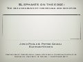 Elephants on the edge: The use and abuse of individual and societies