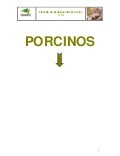 Porcinos