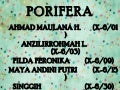 Porifera
