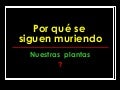 Por qué se nos siguen muriendo
