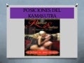 Posiciones del kamasutra