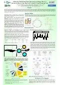 Assessing Differentially Expressed Genes in Storage Root of Cassava Landraces from Brazil and Colombia Using Microarray Data