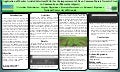 Application of Marker Assisted Selection (MAS) for the improvement of Bean Common Mosaic Necrotic Virus in Common bean (Phaseolus vulgaris)