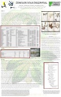 Phylogenetic patterns in the genus Manihot (Euphorbiaceae) inferred from analyses of nuclear and chloroplast DNA regions 