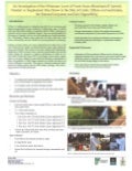 An investigation of the minimum level of the fresh grass (brachiaria II hybrid) needed to supplement rice straw in the diet of cattle: effects on feed intake, the rumen ecosystem and diet digestibility