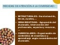 Power Point Orden atención a la diversidad