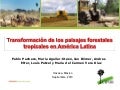Transformación de los paisajes forestales tropicales en América Latina