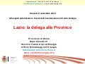Le linee guida per lautorizzazione unica | Provincia di Roma