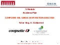 Campione del Garda Destination Analysis