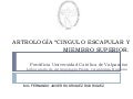 Ppt artrologia miembro superior