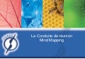 La conduite de reunion