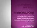 Power Distance Index