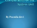 Pramilah Chap 04 System Unit