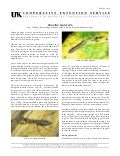 The mantids are not always praying