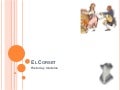 El origen de los corsés
