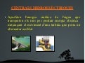 Presentació HidroelèCtrica