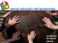 Presentació portal SE Tarragonès